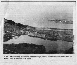 1980-11-bodega-head
