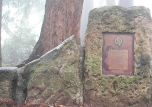 2017 5-28 foggy plaque