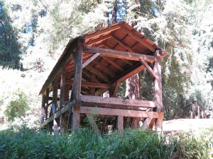 800px-Old-Mill-Park-Mill-Valley-Florin-WLM-8