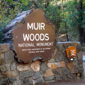 MuirWoodsAutoEntranceSign_20150920