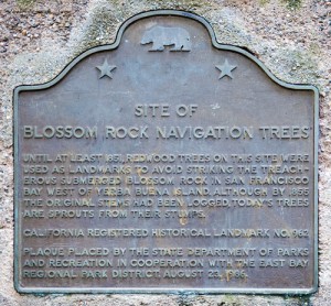 blossom_rock_navigation_trees_plaque_thumb