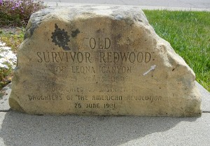 old-redwood-sign