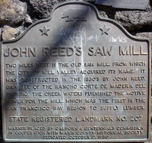 reed saw mill