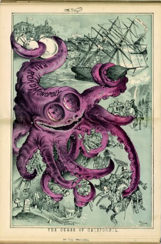 Octopus.JPG